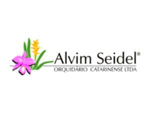 Alvin Seidel